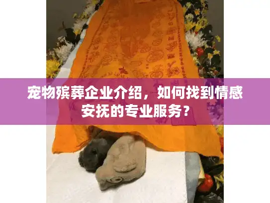 宠物殡葬企业介绍，如何找到情感安抚的专业服务？