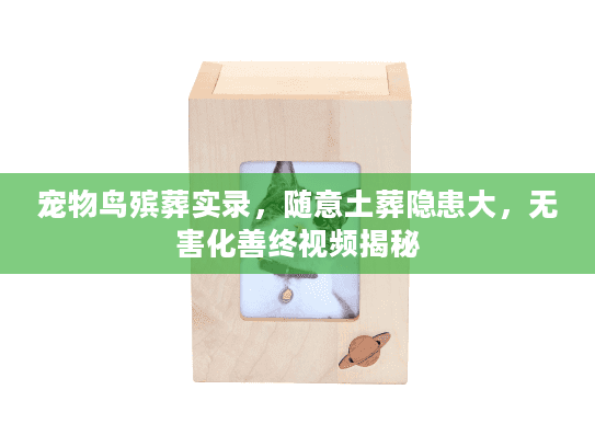 宠物鸟殡葬实录，随意土葬隐患大，无害化善终视频揭秘