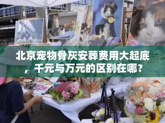 北京宠物骨灰安葬费用大起底，千元与万元的区别在哪？