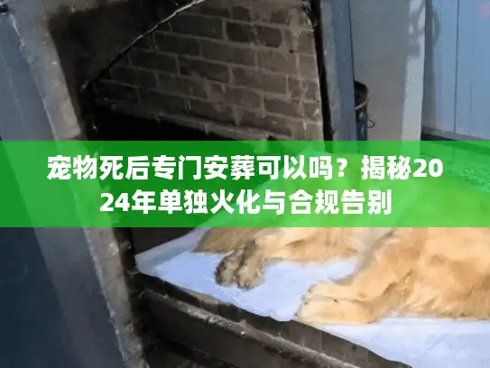 宠物死后专门安葬可以吗?揭秘2024年单独火化与合规告别 宠物死后专门安葬可以吗?揭秘2024年单独火化与合规告别