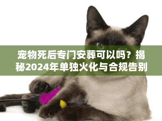 宠物死后专门安葬可以吗?揭秘2024年单独火化与合规告别 宠物死后专门安葬可以吗?揭秘2024年单独火化与合规告别