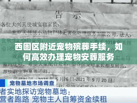 西固区附近宠物殡葬手续，如何高效办理宠物安葬服务