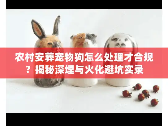 农村安葬宠物狗怎么处理才合规？揭秘深埋与火化避坑实录