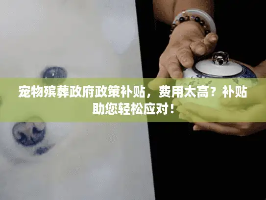 宠物殡葬政府政策补贴，费用太高？补贴助您轻松应对！