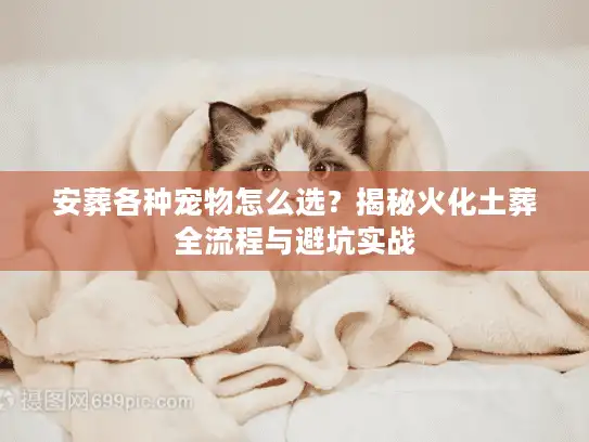 安葬各种宠物怎么选？揭秘火化土葬全流程与避坑实战