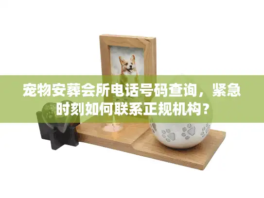 宠物安葬会所电话号码查询，紧急时刻如何联系正规机构？