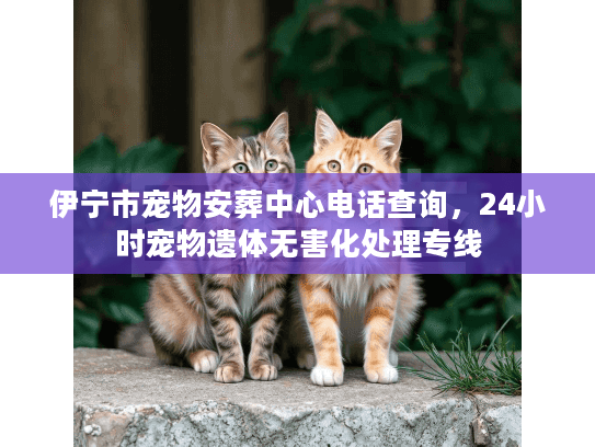 伊宁市宠物安葬中心电话查询，24小时宠物遗体无害化处理专线