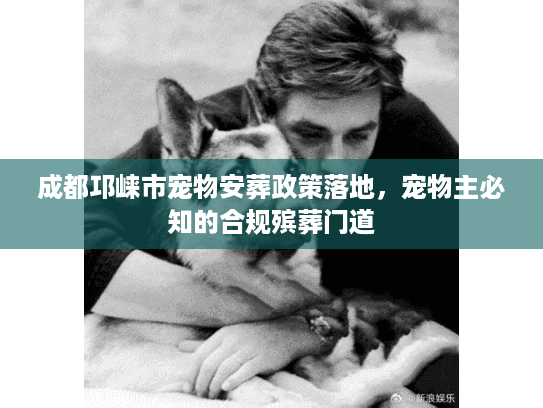 成都邛崃市宠物安葬政策落地，宠物主必知的合规殡葬门道