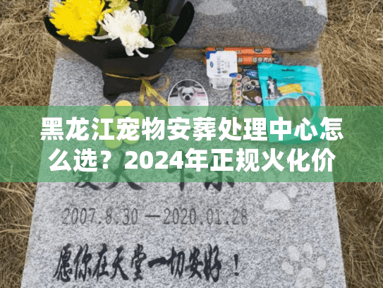 黑龙江宠物安葬处理中心怎么选？2024年正规火化价格与无害化流程