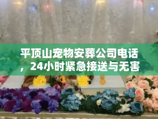 平顶山宠物安葬公司电话，24小时紧急接送与无害化处理全流程