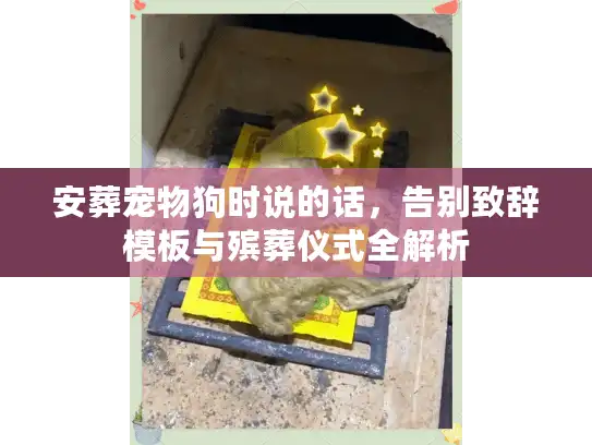 安葬宠物狗时说的话，告别致辞模板与殡葬仪式全解析