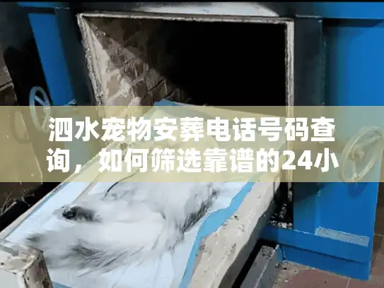 泗水宠物安葬电话号码查询,如何筛选靠谱的24小时上门服务? 泗水宠物安葬电话号码查询,如何筛选靠谱的24小时上门服务?