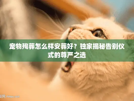 宠物殉葬怎么样安葬好?独家揭秘告别仪式的尊严之选 宠物殉葬怎么样安葬好?独家揭秘告别仪式的尊严之选