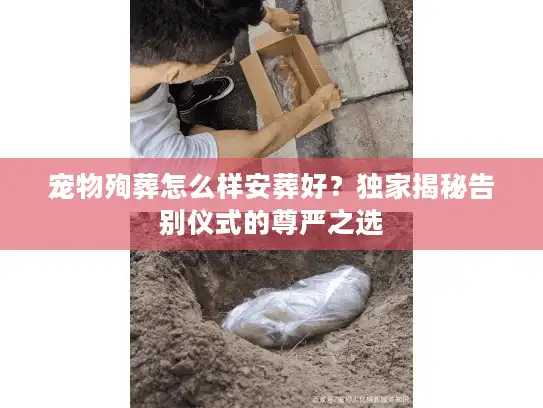 宠物殉葬怎么样安葬好?独家揭秘告别仪式的尊严之选 宠物殉葬怎么样安葬好?独家揭秘告别仪式的尊严之选