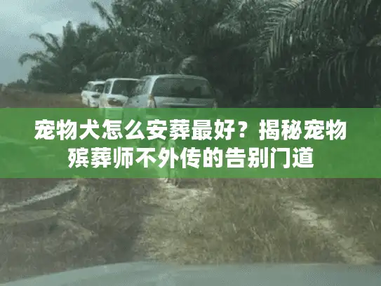 宠物犬怎么安葬最好？揭秘宠物殡葬师不外传的告别门道