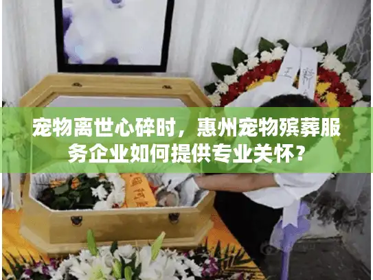 宠物离世心碎时,惠州宠物殡葬服务企业如何提供专业关怀? 宠物离世心碎时,惠州宠物殡葬服务企业如何提供专业关怀?