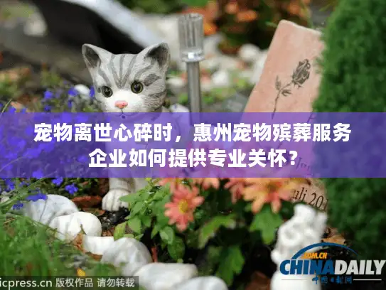 宠物离世心碎时,惠州宠物殡葬服务企业如何提供专业关怀? 宠物离世心碎时,惠州宠物殡葬服务企业如何提供专业关怀?