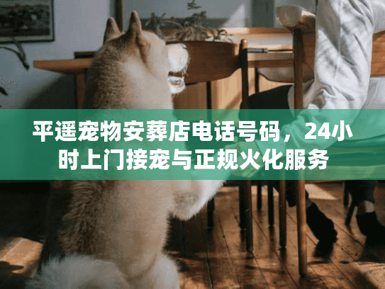 平遥宠物安葬店电话号码，24小时上门接宠与正规火化服务