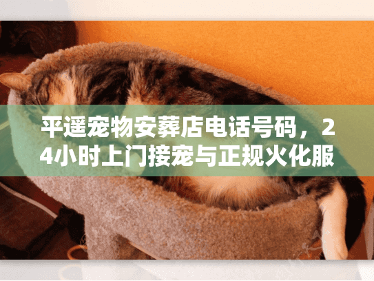 平遥宠物安葬店电话号码，24小时上门接宠与正规火化服务