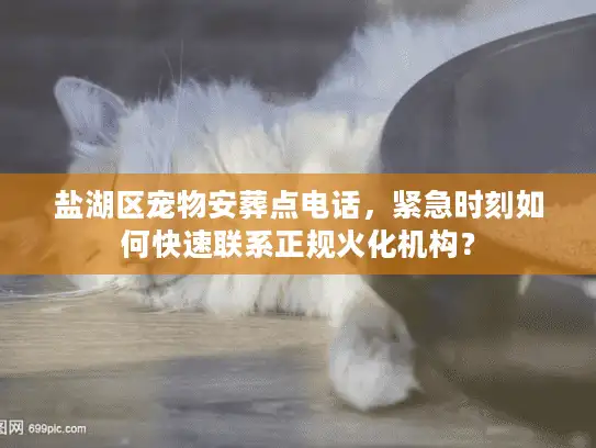 盐湖区宠物安葬点电话，紧急时刻如何快速联系正规火化机构？