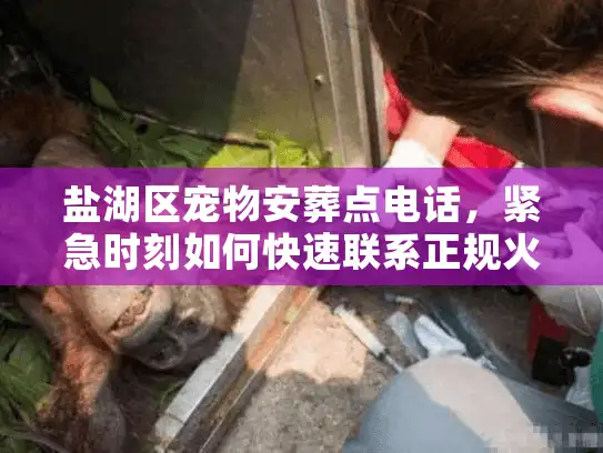 盐湖区宠物安葬点电话，紧急时刻如何快速联系正规火化机构？