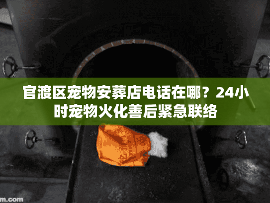 官渡区宠物安葬店电话在哪？24小时宠物火化善后紧急联络