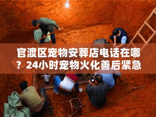 官渡区宠物安葬店电话在哪？24小时宠物火化善后紧急联络