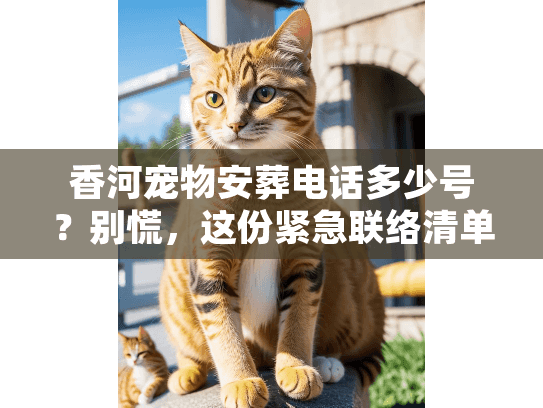 香河宠物安葬电话多少号？别慌，这份紧急联络清单请收好