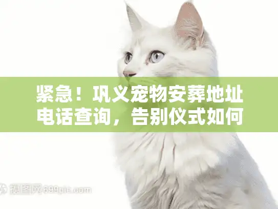 紧急！巩义宠物安葬地址电话查询，告别仪式如何办？