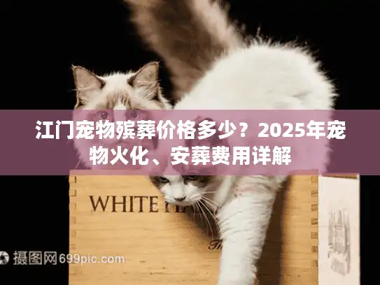 江门宠物殡葬价格多少?2025年宠物火化、安葬费用详解 江门宠物殡葬价格多少?2025年宠物火化、安葬费用详解