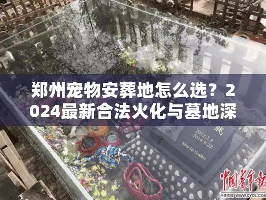郑州宠物安葬地怎么选?2024最新合法火化与墓地深度测评 郑州宠物安葬地怎么选?2024最新合法火化与墓地深度测评