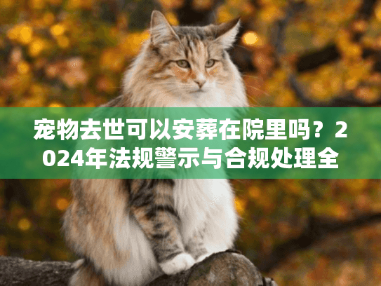 宠物去世可以安葬在院里吗？2024年法规警示与合规处理全解析