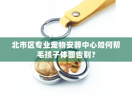 北市区专业宠物安葬中心如何帮毛孩子体面告别？