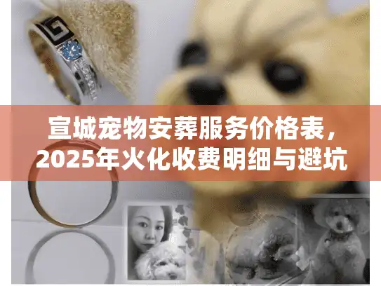 宣城宠物安葬服务价格表，2025年火化收费明细与避坑