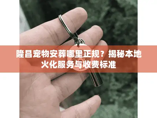 隆昌宠物安葬哪里正规？揭秘本地火化服务与收费标准