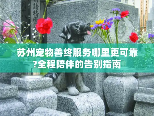 苏州宠物善终服务哪里更可靠?全程陪伴的告别指南