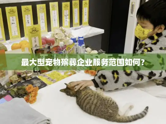最大型宠物殡葬企业服务范围如何? 最大型宠物殡葬企业服务范围如何?