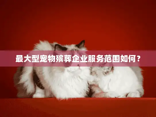 最大型宠物殡葬企业服务范围如何? 最大型宠物殡葬企业服务范围如何?