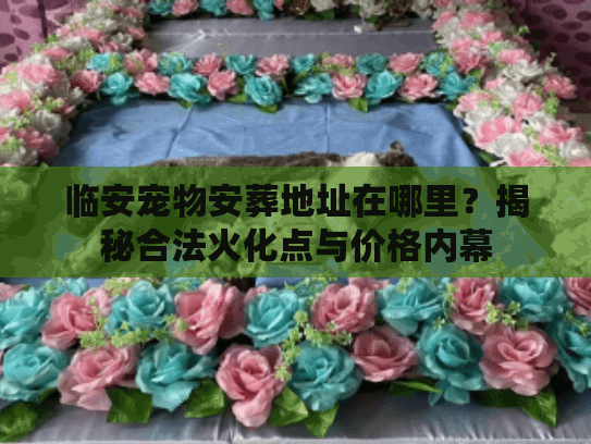 临安宠物安葬地址在哪里？揭秘合法火化点与价格内幕