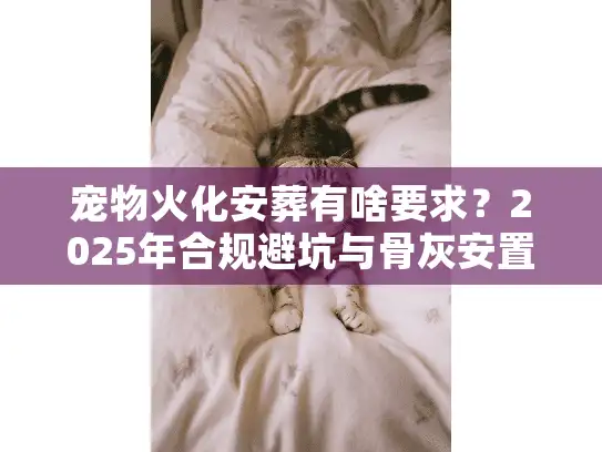 宠物火化安葬有啥要求？2025年合规避坑与骨灰安置实操揭秘