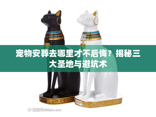 宠物安葬去哪里才不后悔？揭秘三大圣地与避坑术