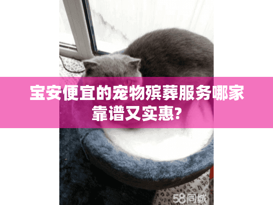 宝安便宜的宠物殡葬服务哪家靠谱又实惠?