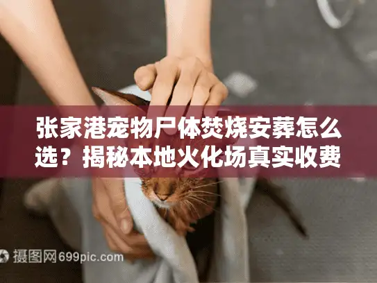张家港宠物尸体焚烧安葬怎么选？揭秘本地火化场真实收费标准
