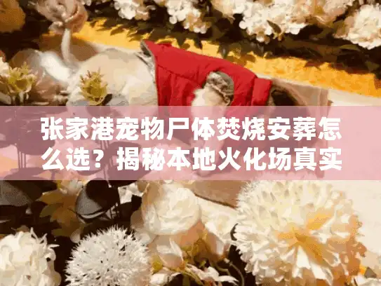 张家港宠物尸体焚烧安葬怎么选？揭秘本地火化场真实收费标准