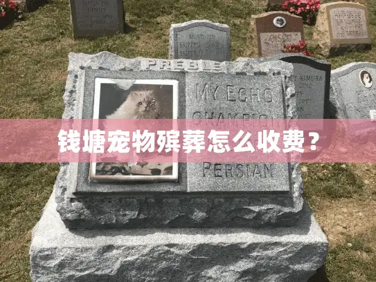 钱塘宠物殡葬怎么收费？