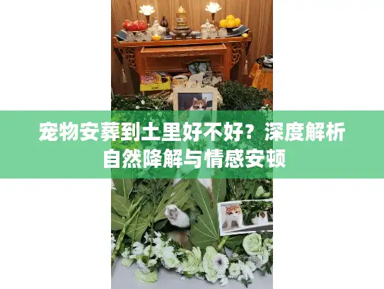 宠物安葬到土里好不好？深度解析自然降解与情感安顿