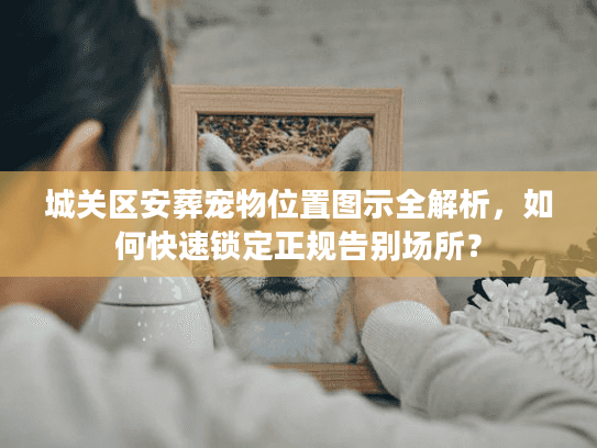 城关区安葬宠物位置图示全解析，如何快速锁定正规告别场所？