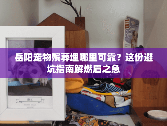 岳阳宠物殡葬埋哪里可靠？这份避坑指南解燃眉之急