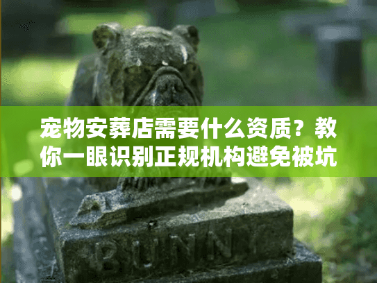 宠物安葬店需要什么资质？教你一眼识别正规机构避免被坑