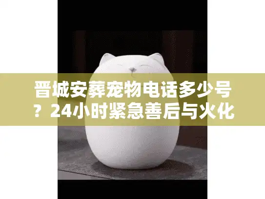 晋城安葬宠物电话多少号？24小时紧急善后与火化真实报价